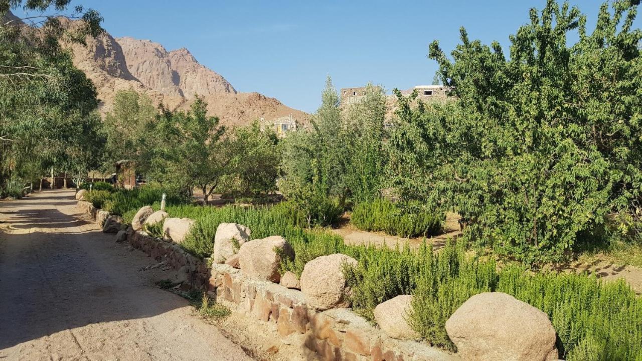Fox Camp Hotel Saint Catherine Exterior foto