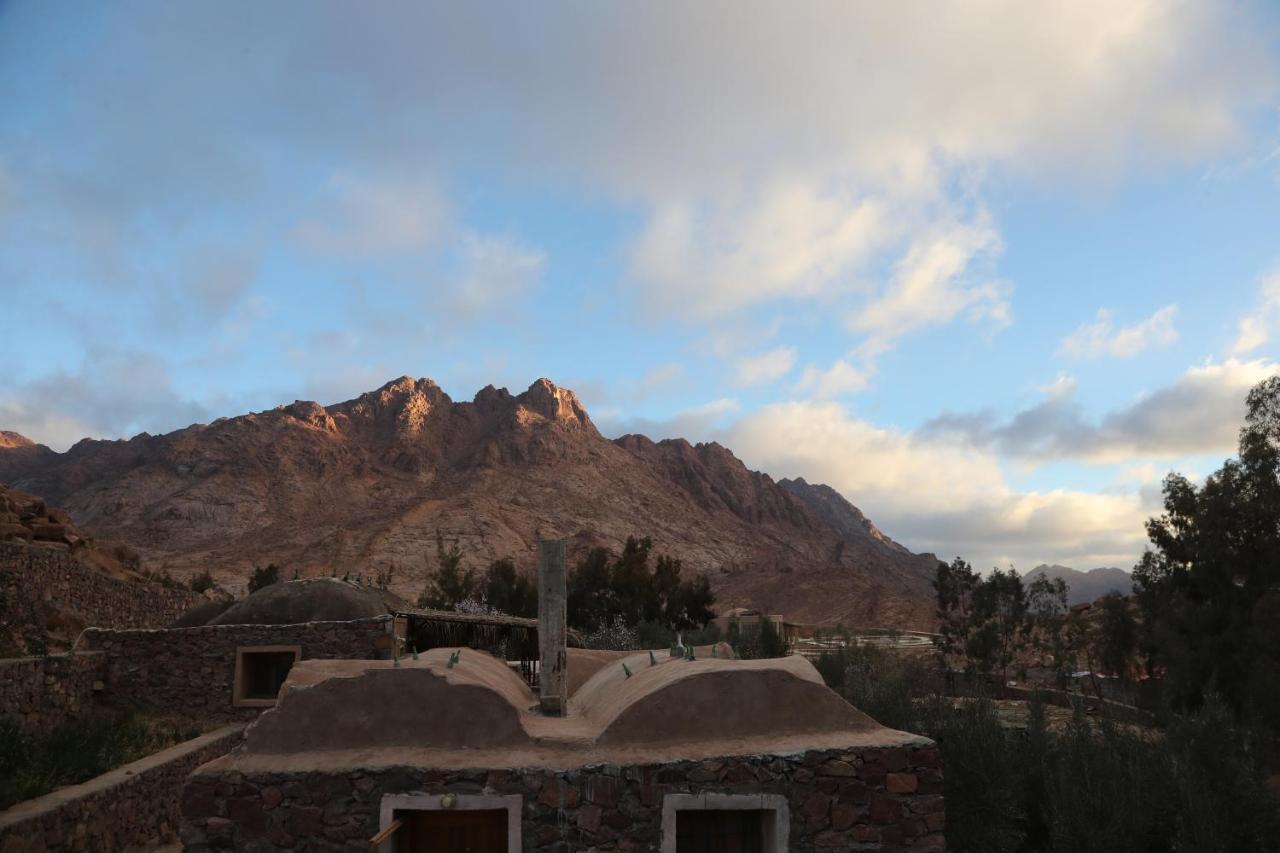 Fox Camp Hotel Saint Catherine Exterior foto