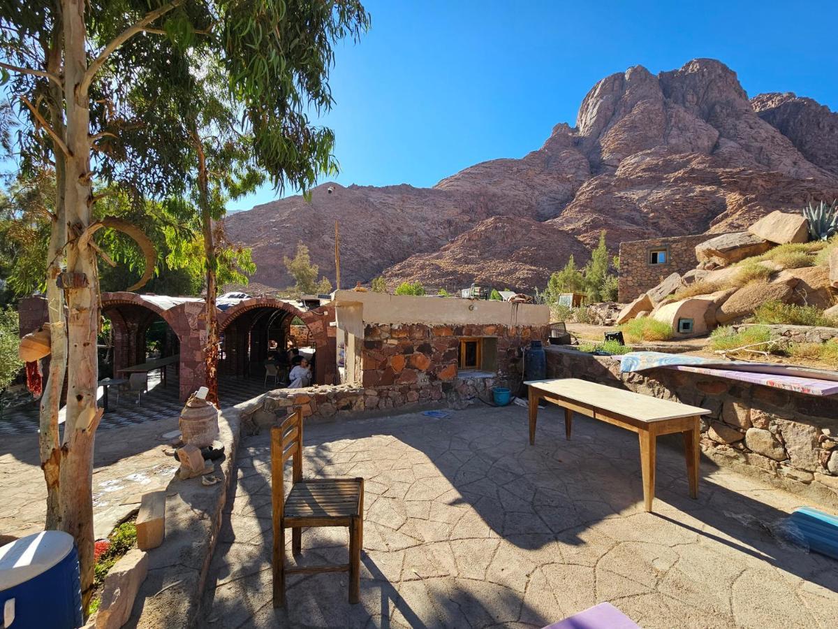 Fox Camp Hotel Saint Catherine Exterior foto